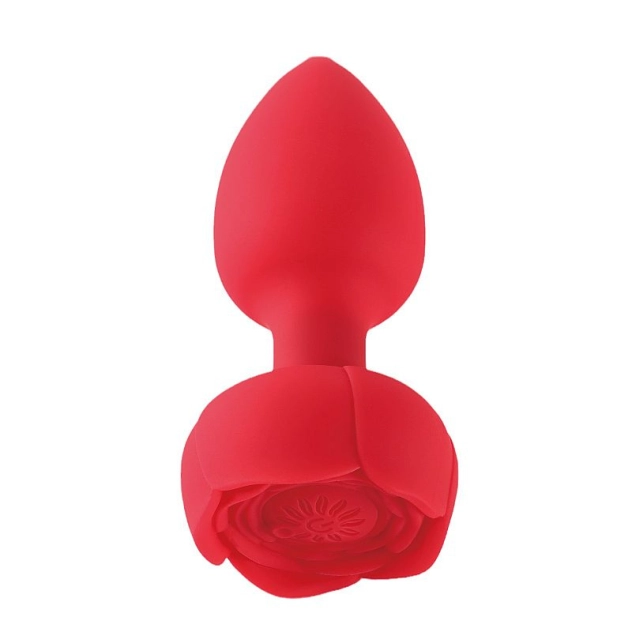 Plug anal Led em Silicone com 10 Modos de Vibração e Controle Remoto Vermelho