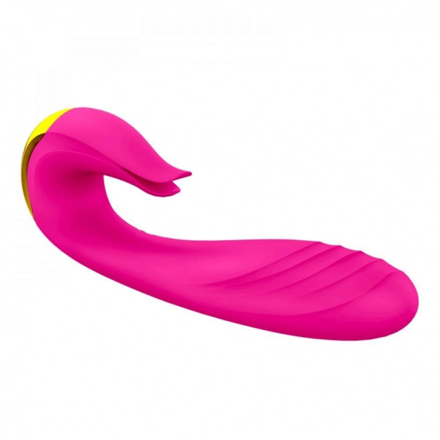 Vibrador Recarregável com Duplo Motor