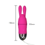 Bunny Vibrador e Estimulador Recarregável com 12 Potentes Modos de Vibração
