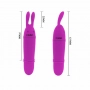 Mini Vibrador e Massageador Coelho Pretty Love Boyce