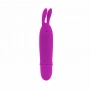 Mini Vibrador e Massageador Coelho Pretty Love Boyce