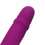 Mini Vibrador Estimulador Pretty Love Goddard 