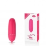 Mini Vibrador Lilo Única Vibração