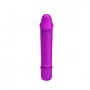 Mini Vibrador Ponta como Glande 10 Modos de Vibração Pretty Love Emily