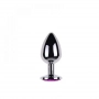 Plug Anal de Luxo em Metal com Pedra Brilhante Colorida M