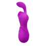 Sugador de Clitoris e Vibrador Recarregável com 12 funções