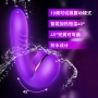 Vibrador 2 em 1 que Simula Sexo Oral