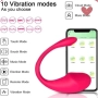 Vibrador Bullet em U com Controle App à Longa Distância Pink - Alba