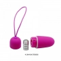 Vibrador Bullet sem Fio com Controle Pretty Love Bradley