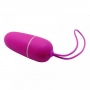 Vibrador Bullet sem Fio com Controle Pretty Love Bradley