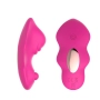 Vibrador de Calcinha por Aplicativo Vibrador de Calcinha por Aplicativo