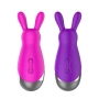 Vibrador de Clitóris em Formato de Coelho | Estímulo Direto e Suave | Silicone Macio | SI Cor:Pink