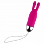 Bunny Vibrador e Estimulador Recarregável com 12 Potentes Modos de Vibração Bunny Vibrador e Estimulador Recarregável com 12 Potentes Modos de Vibração
