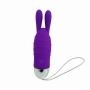Bunny Vibrador e Estimulador Recarregável com 12 Potentes Modos de Vibração