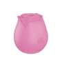 Vibrador e Sugador de Clitóris em Formato de Rosa Vibrador e Sugador de Clitóris em Formato de Rosa