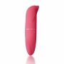 Vibrador Ponto G com Formato Golfinho 12 x 2,5 cm