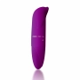 Vibrador Ponto G com Formato Golfinho 12 x 2,5 cm