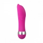 Vibrador Ponto G Golfinho G-Spot