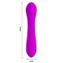 Vibrador Ponto G Recarregável Pretty Love Tony