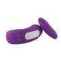 Vibrador para Casal Golfinho Recarregável com Controle Winter RTC S-Hande